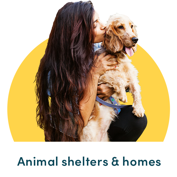 Animal shelters & homes