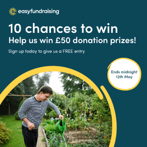 10 chances to win