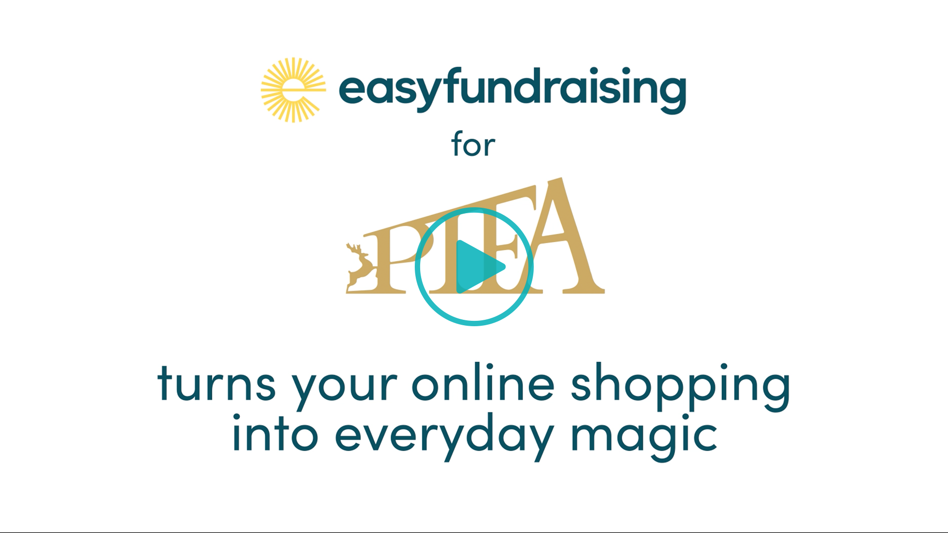 We turn your daily shopping into everyday magic