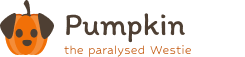 Pumpkin the paralysed westie logo