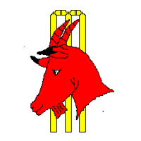 Wendron Cricket Club and Football Club logo