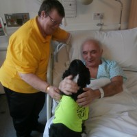 Pets as Therapy