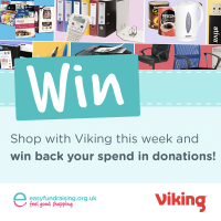 viking (1)