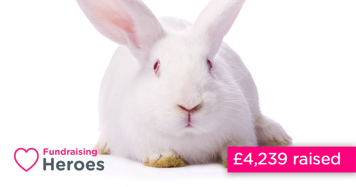 Animal Free Research UK | Easyfundraising Blog