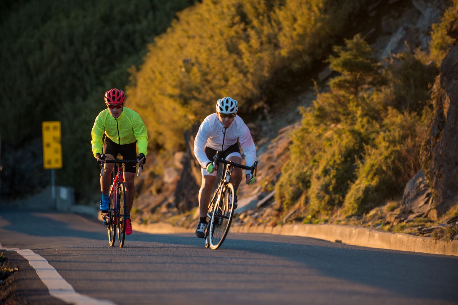 Road cyclists