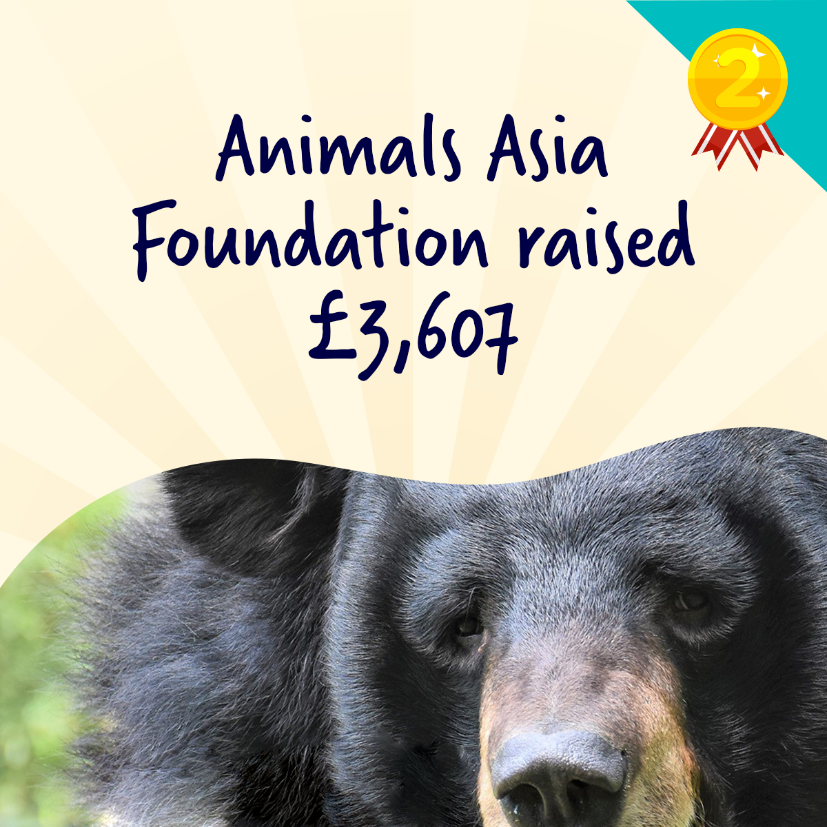 Top fundraising tips from Animals Asia Foundation - Easyfundraising Blog
